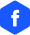 Facebbok icon